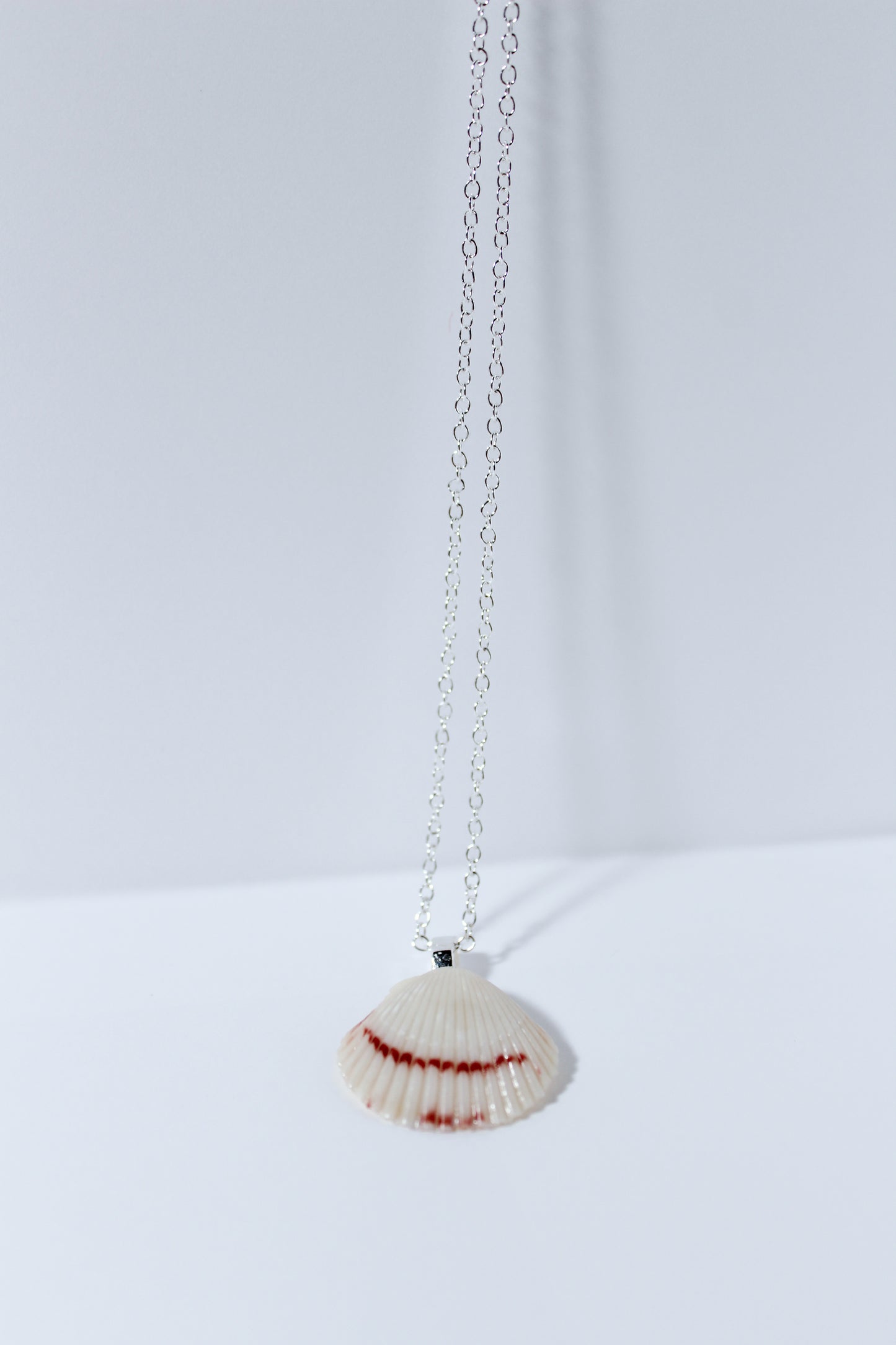 Shoreline Shell Necklace
