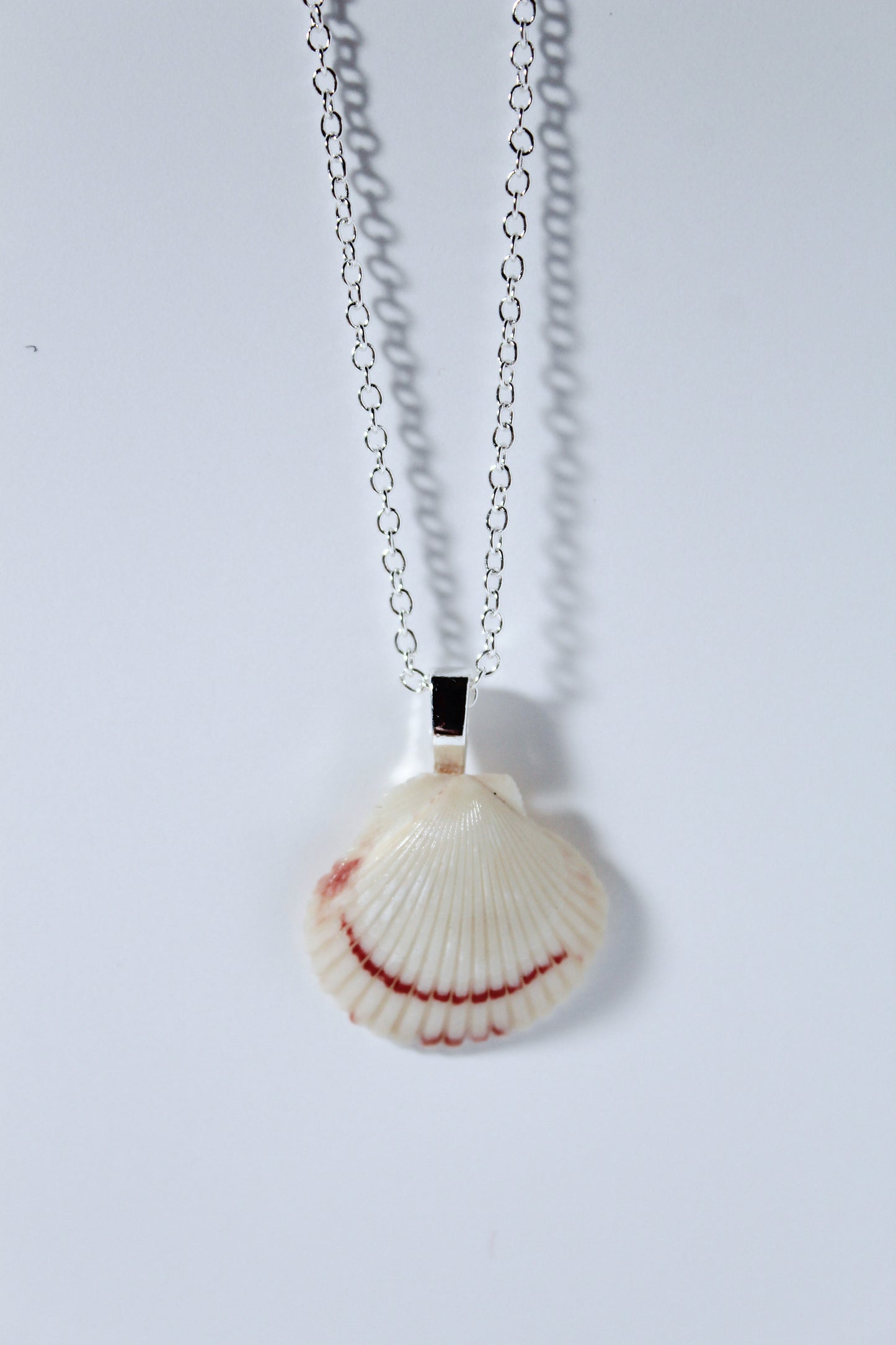 Shoreline Shell Necklace