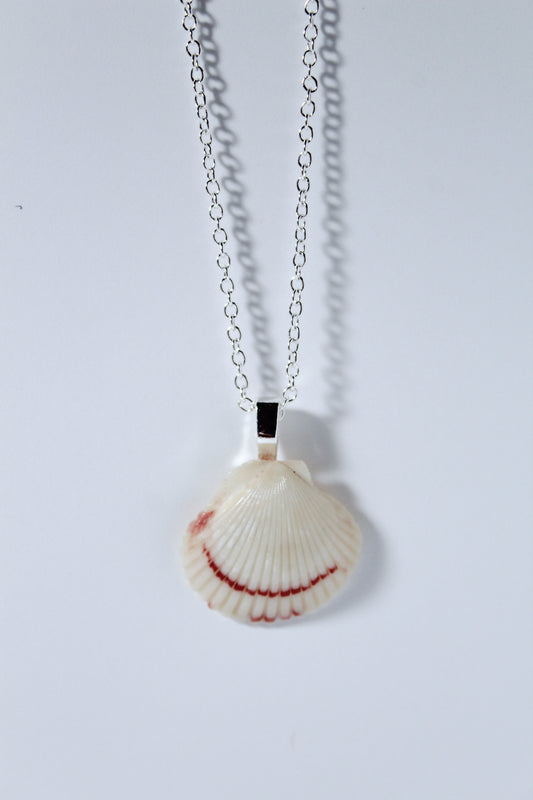 Shoreline Shell Necklace